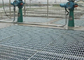 Verdrehtes Stangen-Edelstahl-Boden-Gitter, industrielle Gitter des Boden-ISO9001 fournisseur